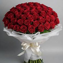 Букет 101 Красная роза Блэк Мэджик #REPLACE_PRED# Немчиново