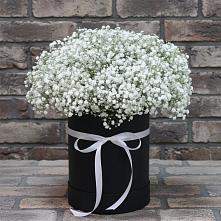 Цветочная композиция из Гипсофила в шляпной коробке в Немчиново