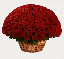 Премиум букет из: Розы в Немчиново