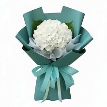 Букет цветов из:  Гортензия в Немчиново